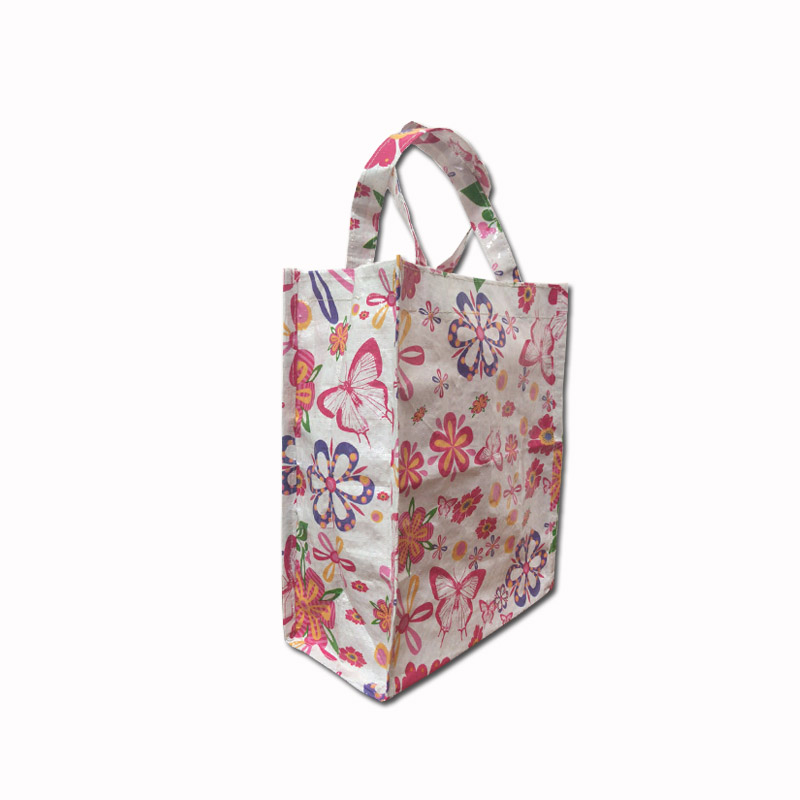 Color printing coated pp woven bag